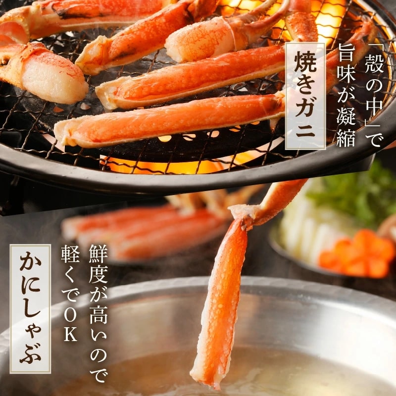 【お刺身でもOK!!!】 鮮度抜群!!カット生ズワイガニ 2肩〜6肩セット ¥4,200〜¥10,000 - 画像 (6)