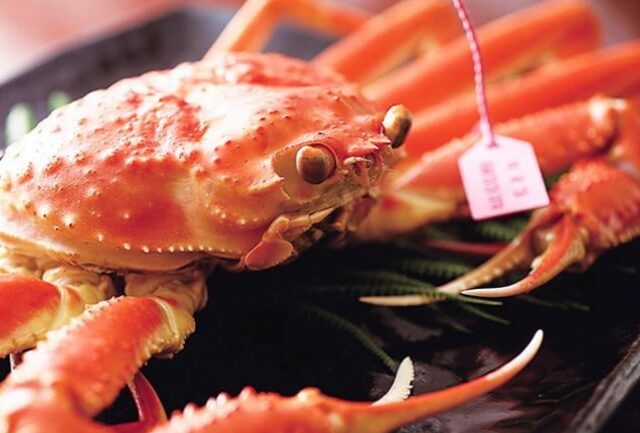 【柴山産茹で松葉！！】           鮮度抜群！タグ付き柴山がにを釜茹ででお届け！¥16,500〜¥75,000