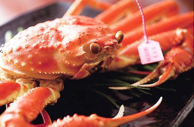 【柴山産茹で松葉!!】 鮮度抜群!タグ付き柴山がにを釜茹ででお届け!¥16,500〜¥75,000