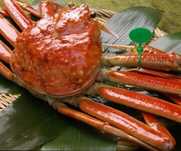 【間人産幻のズワイガニ!】　　京丹後産茹で間人蟹！　　　鮮度バツグン釜茹でにてお届け！¥25,000〜¥150,000