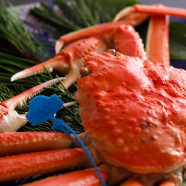 【津居山産茹で松葉！】  ブランドタグ付き津居山がにを釜茹ででお届け！¥16,500〜¥75,000