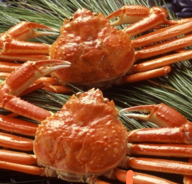 【訳あり！ ボイル姿×2】  ずわいがに姿　味は最高！！約600g2杯