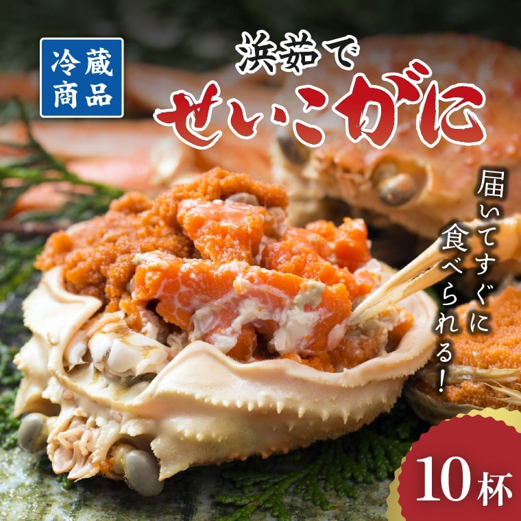 【浜茹でせいこがに!】新鮮なまま冷蔵配送 !!¥4600-¥13000