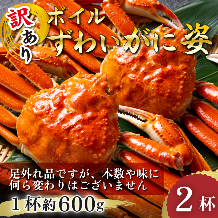 【訳あり! ボイル姿×2】 ずわいがに姿 味は最高!!約600g2杯 - 画像 (2)