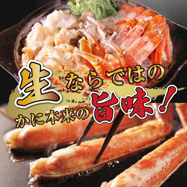 【北オホーツク海産】 船内凍結の一級品! 生ズワイガニ姿!! - 画像 (2)