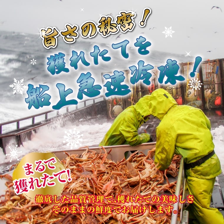 【北オホーツク海産】 船内凍結の一級品! 生ズワイガニ姿!! - 画像 (5)