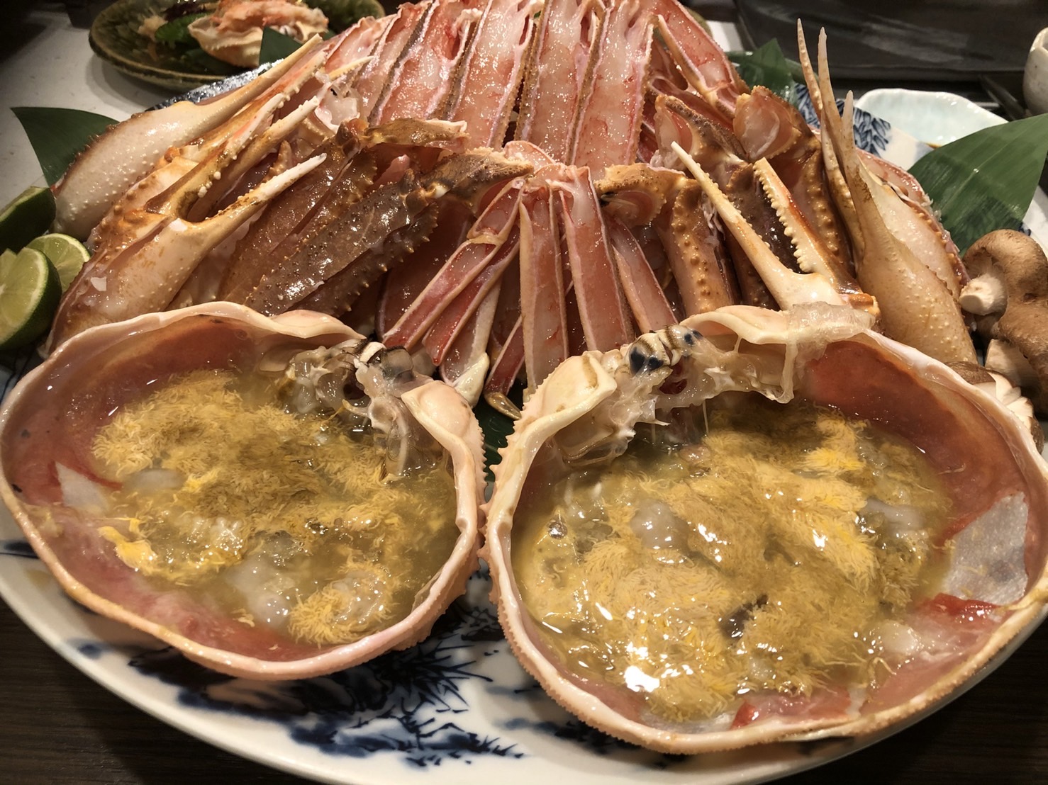 【津居山産!活松葉!】 タグ付きブランド松葉がにを活きたままお届け!! ¥16 ,500〜¥50,000 - 画像 (4)